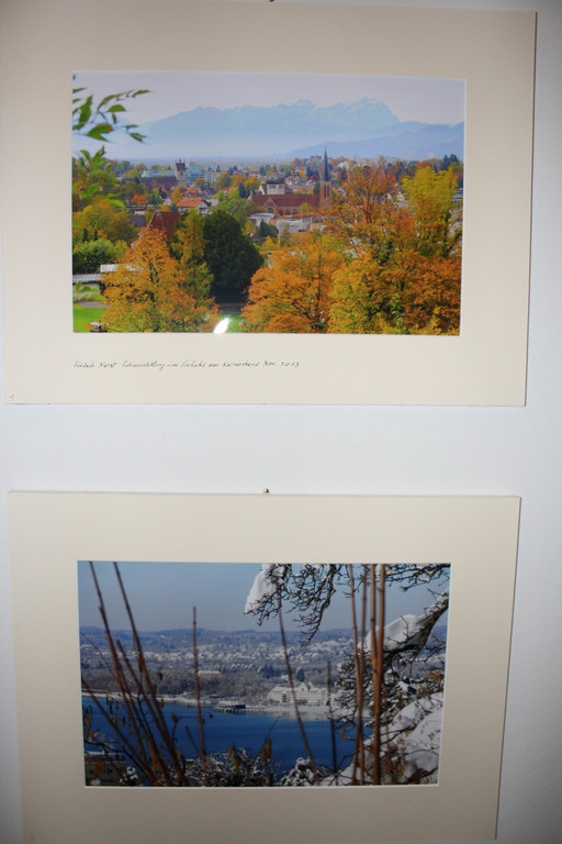 Narzt VERNISSAGE Seehotel 15-11-2013 _19_.jpg