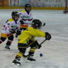 IMG_3812.jpg