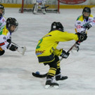 IMG_3813.jpg