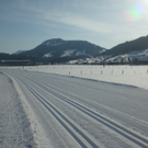 CIMG0374.JPG