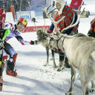IBD0703-20131117.jpg