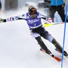 IBD0436-20131117.jpg