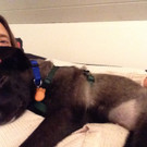 Lady und Eliza November 2013 010.jpg