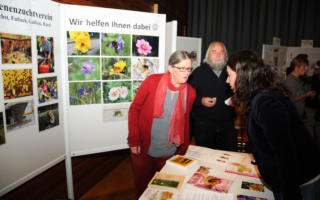 Neuzugezogene Ho__chst 56.jpg