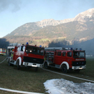 normal_250320101600uhrbobrlaktivnews_20_89_.jpg