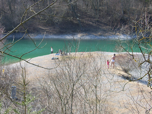 wm_gisingen_ruettenen02_JPG-1269591229