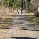 sm_gisingen_ruettenen03_JPG-1269591241