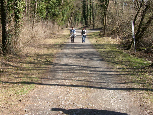 sm_gisingen_ruettenen03_JPG-1269591241
