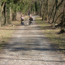 sm_gisingen_ruettenen09_JPG-1269591316