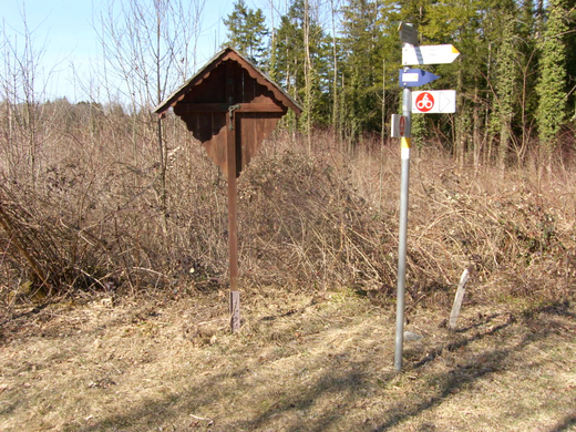 sm_gisingen_ruettenen08_JPG-1269591304