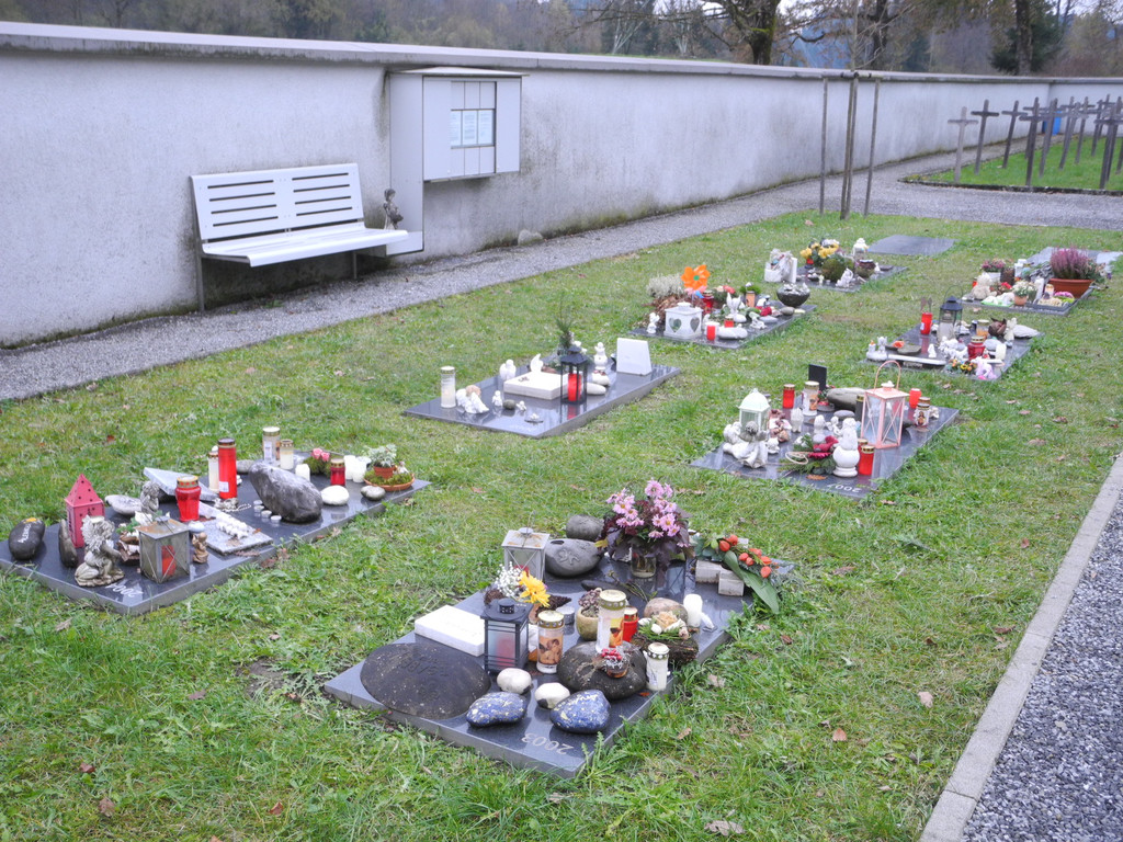 DSCN0746.JPG