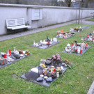 DSCN0746.JPG