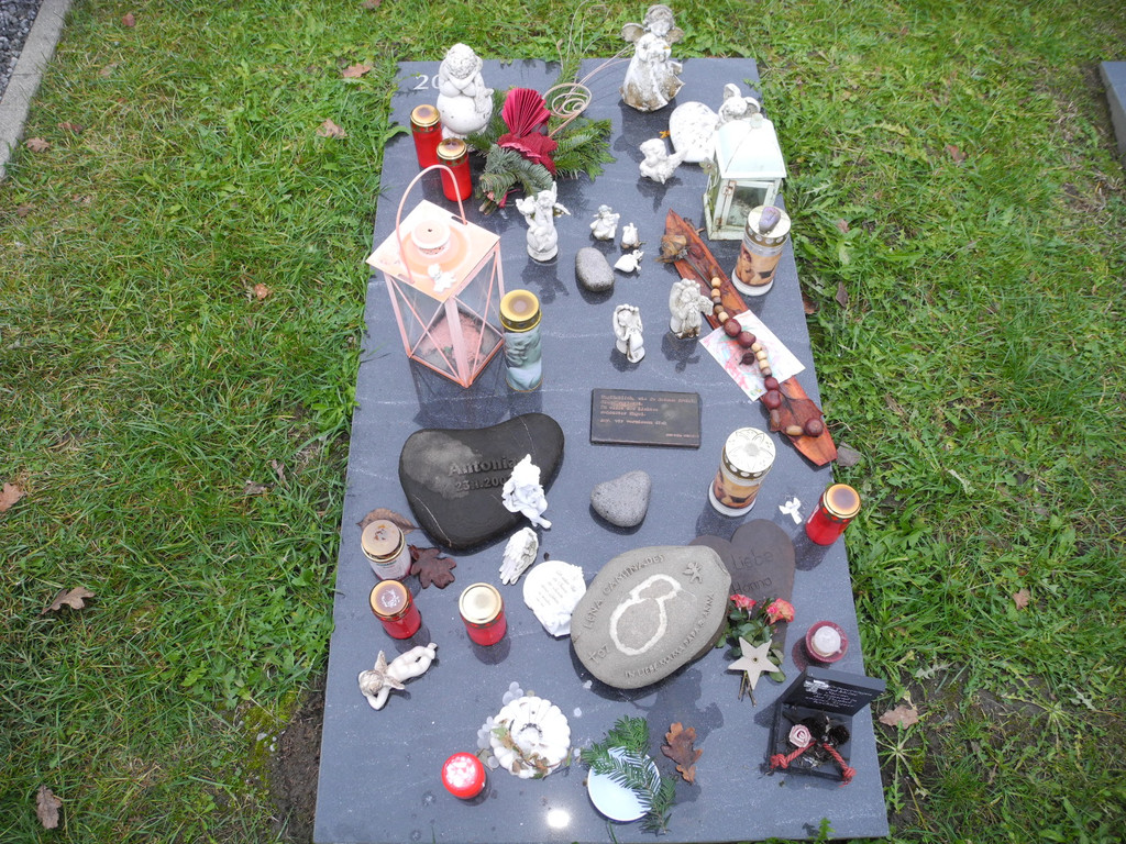 DSCN0748.JPG