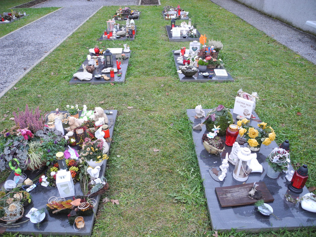 DSCN0749.JPG