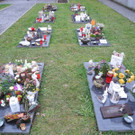 DSCN0749.JPG