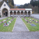 DSCN0766.JPG