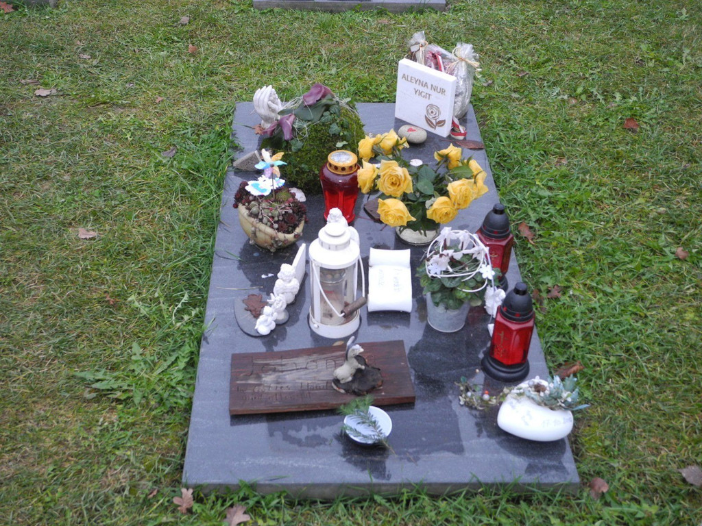 DSCN0767.JPG
