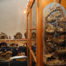 DSCN0781.JPG