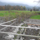 DSCN0687.JPG