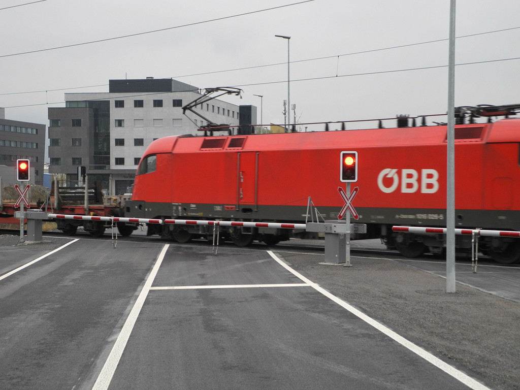 DSCN0727.JPG