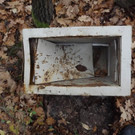 Tresor in Waldstück im Bezirk Horn gefunden