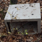 18_11_2013 - PI Horn-2.jpg