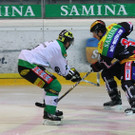 IMG_6336.jpg