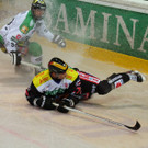 IMG_6398.jpg