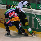 IMG_6594.jpg