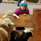 Bilder Adventausstellung