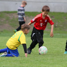 IMG_1113.jpg