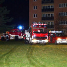 _MAT0744.jpg