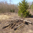 sm_gisingen_biotop08_JPG-1269595440