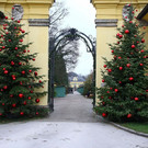 normal_20131119fmt_adventzauber_ta_002.JPG