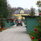 normal_20131119fmt_adventzauber_ta_004.JPG
