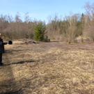 sm_gisingen_biotop09_JPG-1269595454