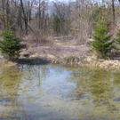 sm_gisingen_biotop03_JPG-1269595379