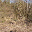 sm_gisingen_biotop11_JPG-1269595492