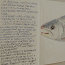  „begreifbare Impulse“ 