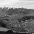 goetzis_001.jpg