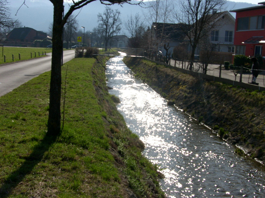sm_gisingen_ehbach05_JPG-1269597795