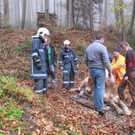 roethis20131119027126.jpg