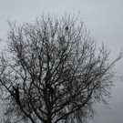 IMG_9622.JPG