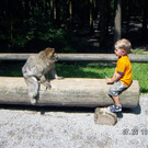 PICT0223.JPG