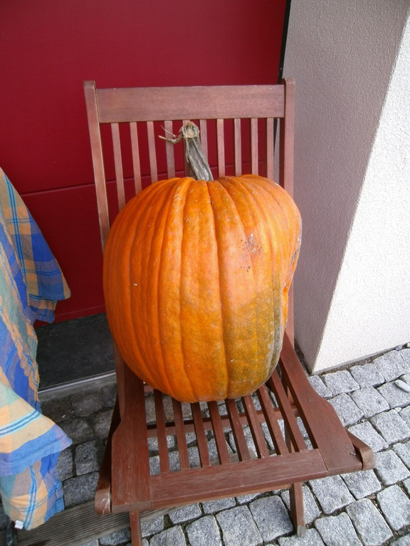 PICT0024.JPG