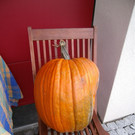 PICT0024.JPG