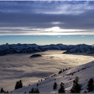 _MG_9536.jpg