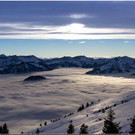 _MG_9542.jpg