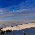 _MG_9562.jpg