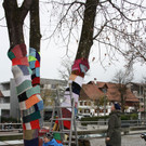 Friedensschal um die B__ume 2013 _5_.jpg
